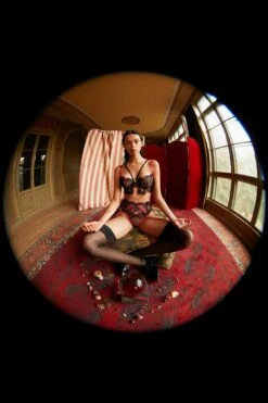 Ivy Thong Panty -Underwear Specialty Store 05 220831 FLL MAGIC BOGESUND 020 v1 ecf1b06a b1b7 425e 8506 692fd73cf715