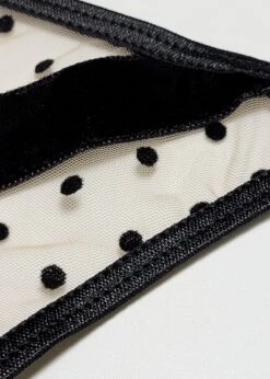 Lola Thong -Underwear Specialty Store 20210203 151937 01