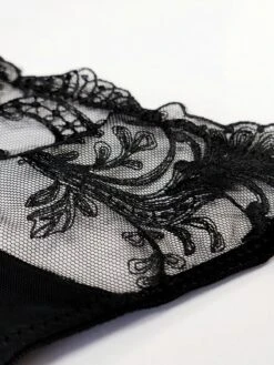 BLUEBELLA Marseille Thong (Black) 25 BLUEBELLA Marseille Thong (Black) -Underwear Specialty Store 20210302 174123 01