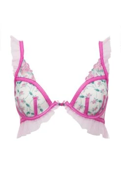 Viviane Rose Underwire Bra -Underwear Specialty Store 2022.05.18.ForLoveAndLemons9648