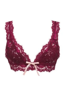 Noelle Lace Bra -Underwear Specialty Store 2022.08.09.ForLoveAndLemons16206