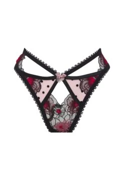 Zinnia Embroidered High-waist Thong -Underwear Specialty Store 2022.08.09.ForLoveAndLemons16237