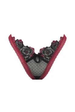 Ivy Thong Panty -Underwear Specialty Store 2022.08.30.ForLove Lemons16858