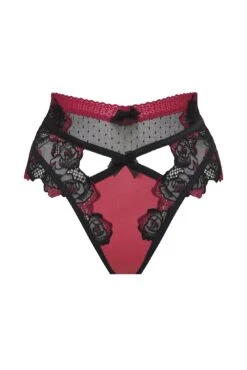 Ivy High-waist Cheeky Panty -Underwear Specialty Store 2022.08.30.ForLove Lemons16862