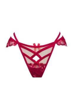 Evie Thong Panty -Underwear Specialty Store 2022.08.30.ForLove Lemons16864