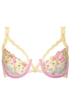 Floral Frenzy Underwire Bra -Underwear Specialty Store 2022.11.09.ForLoveAndLemons23289