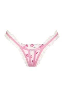 Sweet Cherries Panty -Underwear Specialty Store 2022.11.09.ForLoveAndLemons23417