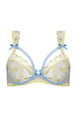 Lavender Meadows Underwire Bra -Underwear Specialty Store 2022.12.09.ForLove Lemons24823