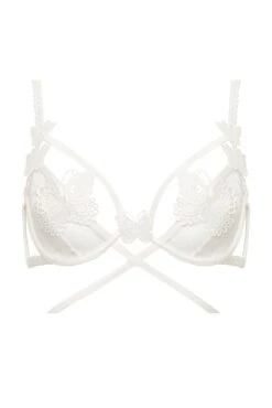 Beaming Butterfly Applique Underwire Bra -Underwear Specialty Store 2022.12.09.ForLove Lemons24830
