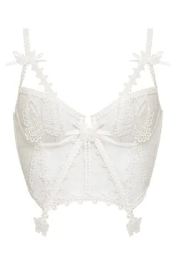 Beaming Butterfly Applique Bustier -Underwear Specialty Store 2022.12.09.ForLove Lemons24833