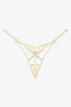 Pastel Papillon Thong Panty -Underwear Specialty Store 2023.01.30.ForLoveAndLemons29011 402e951f 93bd 4b2e 82a6 24fec3646428
