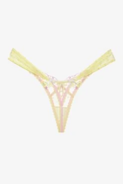 Buttercup Bunches Thong Panty -Underwear Specialty Store 2023.01.30.ForLoveAndLemons29025