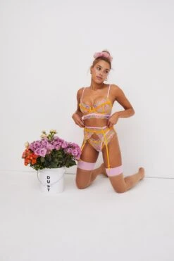 Sorbet Rose Underwire Bra -Underwear Specialty Store 220208 BC FLL 28PDP LOOK 16 0001 8662487e 8660 49ce b88a 16465ee35269