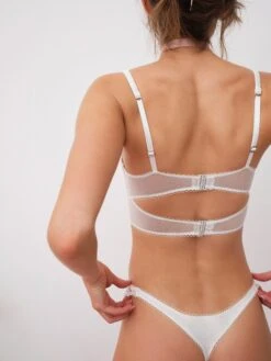 Butterfly Lace Thong Panty -Underwear Specialty Store 221031 BC FLLxVS LOOK 24 0066 48ad0748 acf0 41a9 b69f f2bfe967ee2e