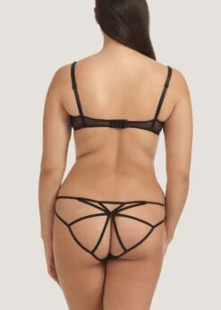 BLUEBELLA Nova Ouvert Brief (Black) -Underwear Specialty Store 31624.BK bluebella nova brief ouvert black sexy lingerie G