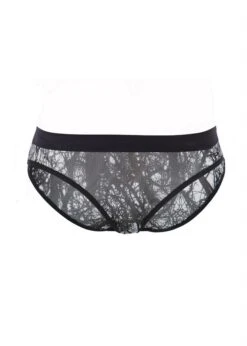 BLUEBELLA Morgan Mesh Brief With Satin Waistband