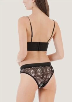 BLUEBELLA Morgan Mesh Brief With Satin Waistband -Underwear Specialty Store 35144.bk bluebella morgan mesh brief satin wasitband black sexy lingerie e