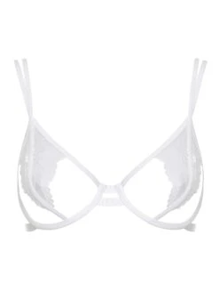 BLUEBELLA Emerson (Ivory) Open Cup Lace Bra