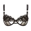 BLUEBELLA Julienne (Black) Bra