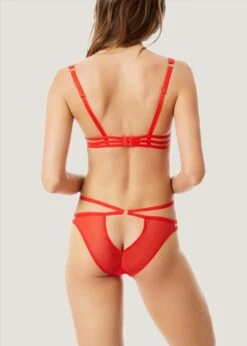 BLUEBELLA Julienne (Red) Bra -Underwear Specialty Store 40608.rd bluebella julienne bra nonpadded red sexy lingerie g