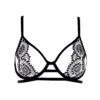 BLUEBELLA Eliana (Black) Bra
