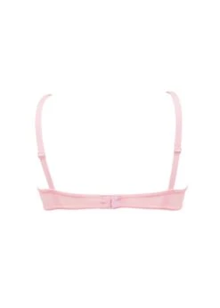 BLUEBELLA Nova (Pale Pink) Ouvert Cup Bra -Underwear Specialty Store 40822.pk bluebella nova ouvert open cup bra nonpadded cupless pale pink sexy lingerie b