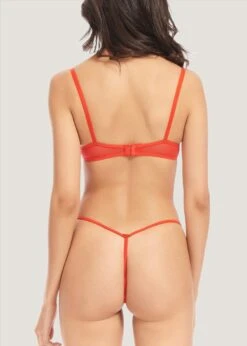 BLUEBELLA Priscilla (Red) Bra -Underwear Specialty Store 40922.rd bluebella priscilla bra red sexy lingerie underwire nonpadded g 1