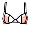 BLUEBELLA Bellana Non Padded Bra -Underwear Specialty Store 40963 bluebella bra underwire non padded terra cotta black pink lace sexy lingerie a