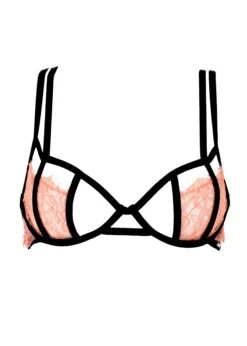 BLUEBELLA Bellana Non Padded Bra