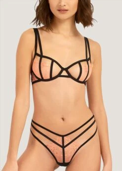 BLUEBELLA Bellana Non Padded Bra -Underwear Specialty Store 40963 bluebella bra underwire non padded terra cotta black pink lace sexy lingerie e