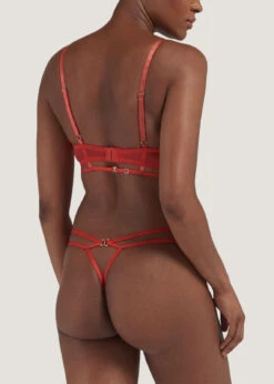 BLUEBELLA Vienna Bra 15 BLUEBELLA Vienna Bra -Underwear Specialty Store 41164 bluebella vienna red bra underwire nonpadded lace plunge sexy lingerie F