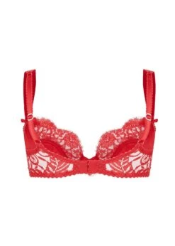 AGENT PROVOCATEUR Kateryna Bra (Red) -Underwear Specialty Store agent provocateur kateryna underwired padded bra red valentines lingerie sexy luxury lingerie F