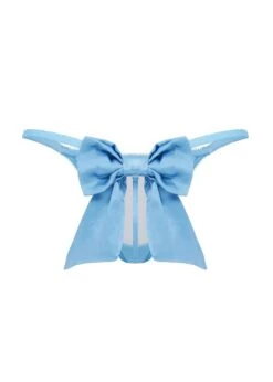AGENT PROVOCATEUR Oriana Trixie (Baby Blue) -Underwear Specialty Store agent provocateur oriana trixie thong underwear bottoms baby blue luxury lingerie D