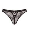 AGENT PROVOCATEUR Vallentina Thong (Black) 2 AGENT PROVOCATEUR Vallentina Thong (Black) -Underwear Specialty Store agent provocateur vallentina thong black lace underwear bottoms luxury lingerie A