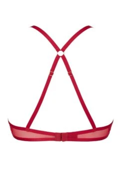 Desire (Rouge) Open Bra -Underwear Specialty Store atelier amour nommee desir rouge open bra red lace cupless bra underwired sexy lingerie H