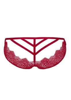 Desire (Rouge) Open Brief 11 Desire (Rouge) Open Brief -Underwear Specialty Store atelier amour nommee desir rouge open brief red lace backless panty sexy lingerie G