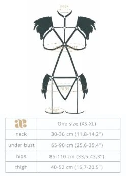 Night Of Revelations Bra And Thong Set -Underwear Specialty Store baed stories lady night of revelations erotic bdsm harness sexy lingerie set black G