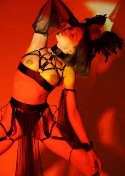 Cleopatra Open Bra, Leg Belt And Sleeves Set -Underwear Specialty Store baed stories savage power cleopatra open bra leg strap harness sexy roleplay bdsm lingerie set F