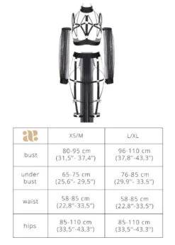 Cleopatra Open Bra, Leg Belt And Sleeves Set -Underwear Specialty Store baed stories savage power cleopatra open bra leg strap harness sexy roleplay bdsm lingerie set G