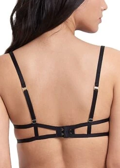 BLUEBELLA Amina (Black) Open Bra -Underwear Specialty Store bluebella amina bra cupless openbra black sexy lingerie 41260 C