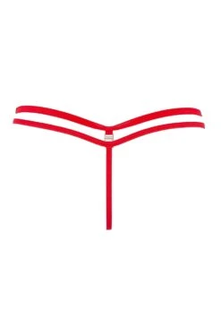 BLUEBELLA Amina (Red) Thong -Underwear Specialty Store bluebella amina red embroidery flower thong bottoms sexy lingerie F
