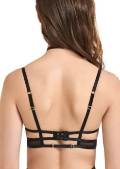 BLUEBELLA Calypso Bra -Underwear Specialty Store bluebella calypso bra black gold see through bra underwired sexy lingerie C