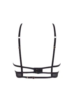 BLUEBELLA Calypso Bra -Underwear Specialty Store bluebella calypso bra black gold see through bra underwired sexy lingerie H