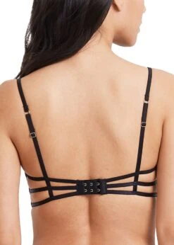 BLUEBELLA Caramella Bra (Black) -Underwear Specialty Store bluebella caramella bra sheer mesh black lace nonpadded underwire sexy lingerie C