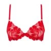 BLUEBELLA Colette Bra (Red) -Underwear Specialty Store bluebella colette bra tomato red underwired non padded embroidery lace sexy lingerie A
