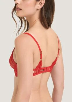 BLUEBELLA Colette Bra (Red) -Underwear Specialty Store bluebella colette bra tomato red underwired non padded embroidery lace sexy lingerie C