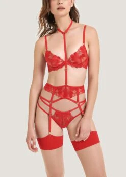 BLUEBELLA Colette Bra (Red) -Underwear Specialty Store bluebella colette bra tomato red underwired non padded embroidery lace sexy lingerie H