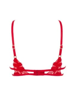 BLUEBELLA Colette Bra (Red) -Underwear Specialty Store bluebella colette bra tomato red underwired non padded embroidery lace sexy lingerie I