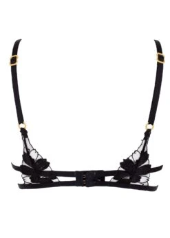 BLUEBELLA Colette Bra -Underwear Specialty Store bluebella colette bra underwire nonpadded black mesh sexy lingerie I