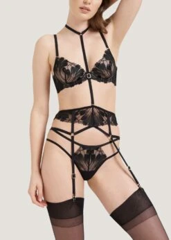 BLUEBELLA Colette Thong 16 BLUEBELLA Colette Thong -Underwear Specialty Store bluebella colette thong double strap black mesh bottoms sexy lingerie F